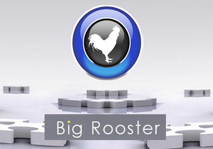 Big Rooster Gaming Studio Formed