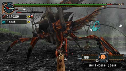Monster Hunter Freedom Unite Screenshot 2