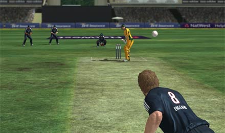 International Cricket 2010 Screenshot
