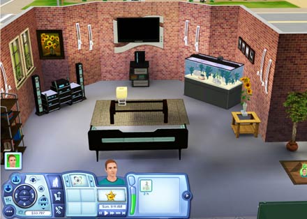 The Sims 3 Home De-Clutterd
